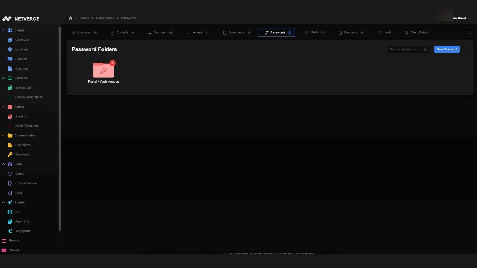 Netverge Passwords View
